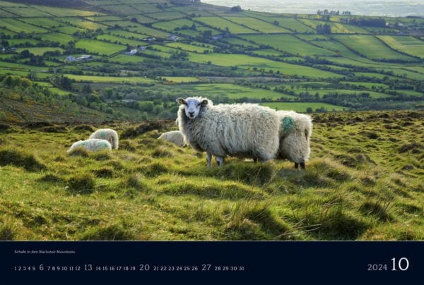Irlandkalender 2024