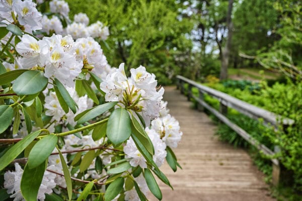 Annapolis Royal Historic Gardens