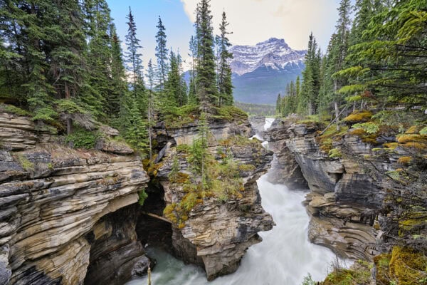 Athabasca Falls