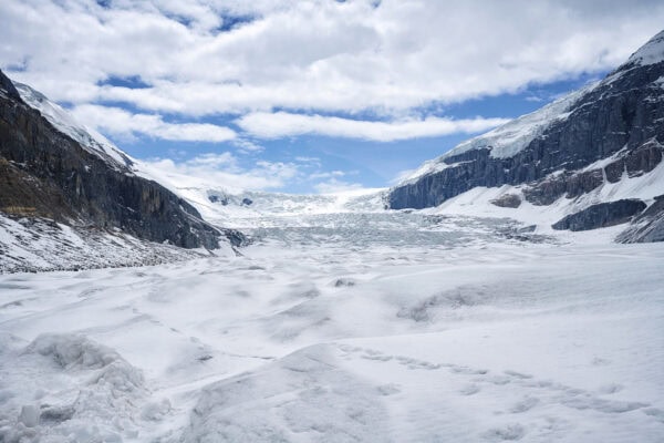 Athabasca Glacier