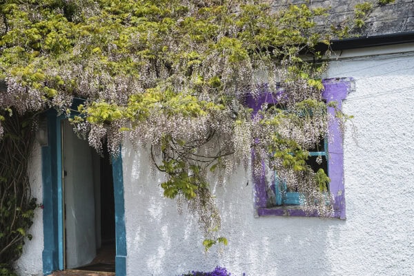 Cotage in Ballinaclashett