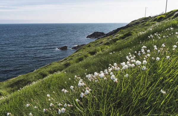 Ballycotton Cliff Walk