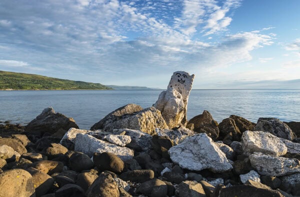 Ballygalley Polar Bear