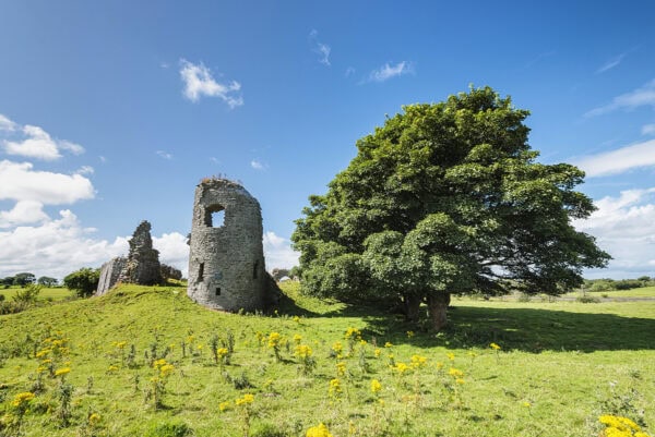 Ballylahan Castle