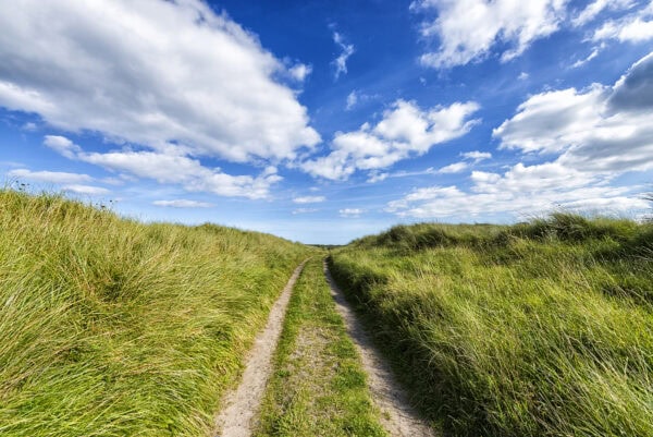 Way to Baltray Beach