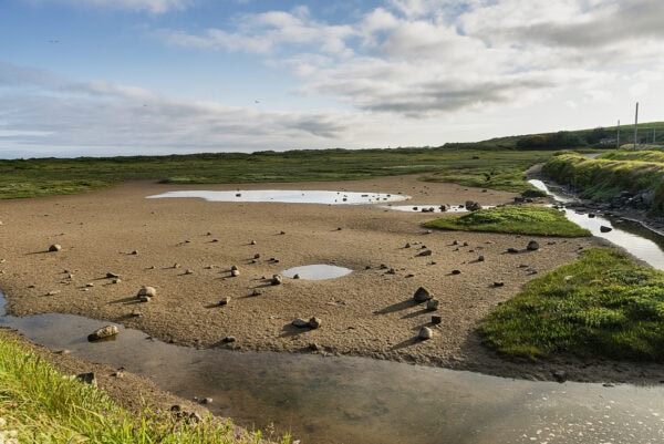 Bannow Island
