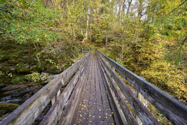The Birks of Aberfeldy