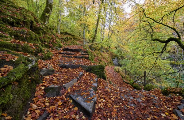 The Birks of Aberfeldy
