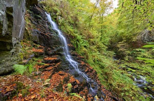 The Birks of Aberfeldy