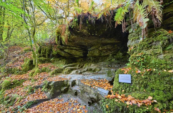 The Birks of Aberfeldy