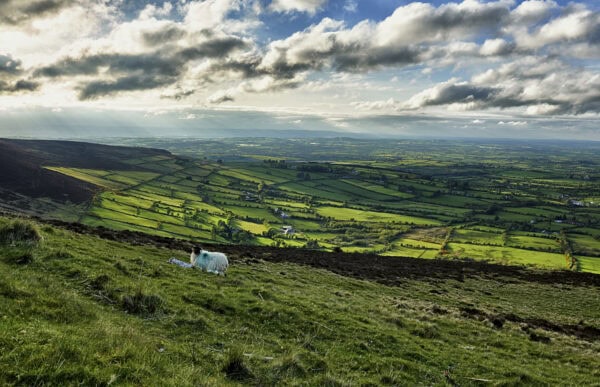 Blackstairs Mountains