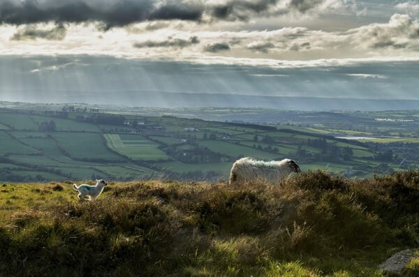 Blackstairs Mountains