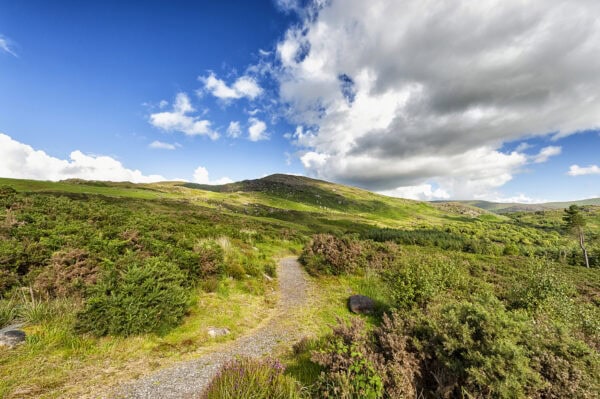 Bonane Heritage Park