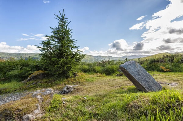 Bonane Heritage Park