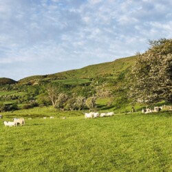 Beautiful coastline in County Antrim, Northern Ireland