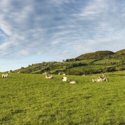 Beautiful coastline in County Antrim, Northern Ireland