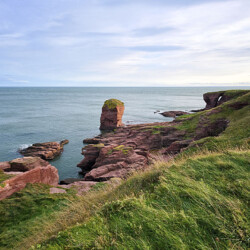 Arbroath Cliffs, Angus, Scotland
