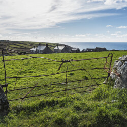 Farm in Cornwall, England