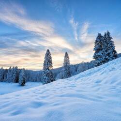 Feldberg im Winter, Schwarzwald, Deutschland Feldberg