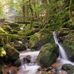 Gertelbachschlucht bei Bühlertal, Schwarzwald, Deutschland Gertelbachschlucht