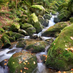 Gertelbachschlucht bei Bühlertal, Schwarzwald, Deutschland Gertelbachschlucht