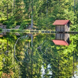 Glaswaldsee bei Bad Rippoldsau-Schapbach, Schwarzwald, Deutschland Glaswaldsee