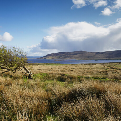 Carrowmore Lake