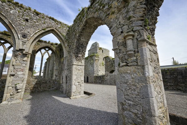 Castledermot Friary