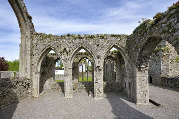 Castledermot Friary