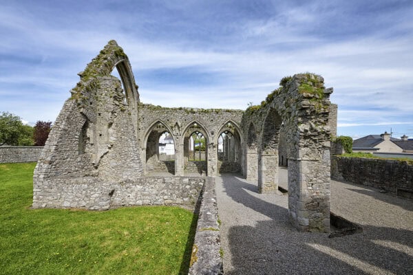 Castledermot Friary