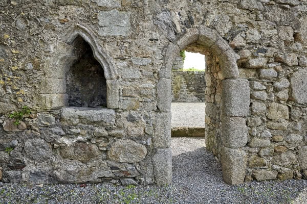 Castledermot Friary