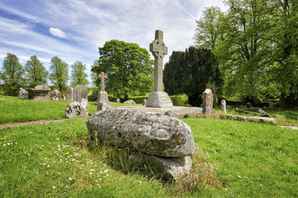 Castledermot Hogback and Cross