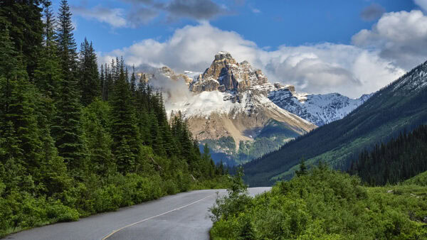 Cathedral Mountain
