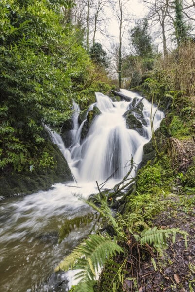 Crawfordsburn Country Park