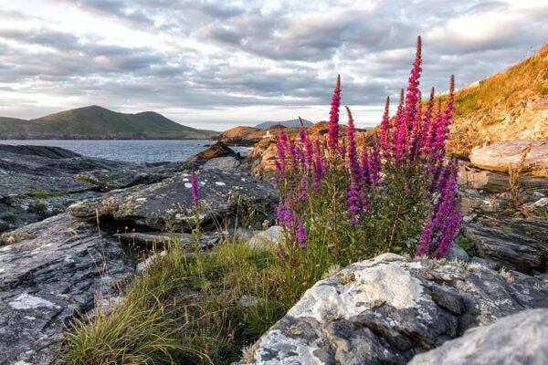 Cromwell Point Lighthouse