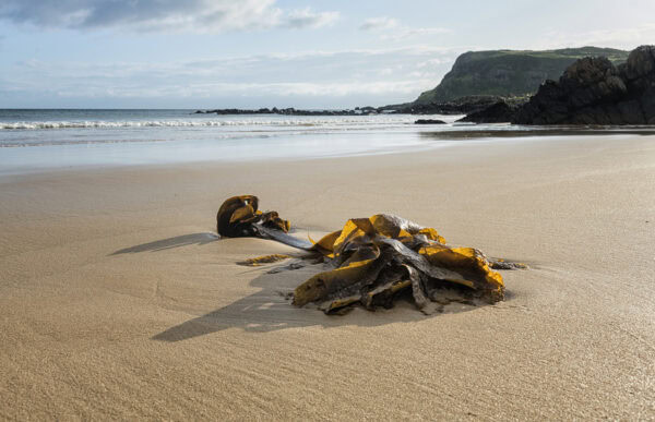 Culdaff Beach