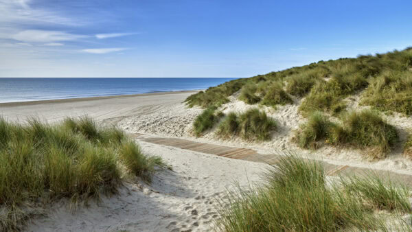 Curracloe Beach