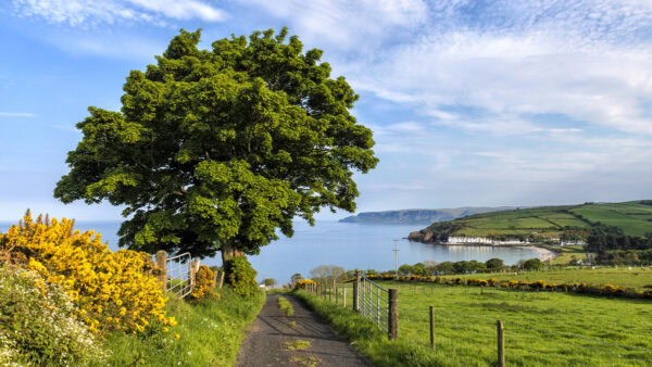 Cushendun