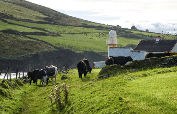 Dingle Lighthouse