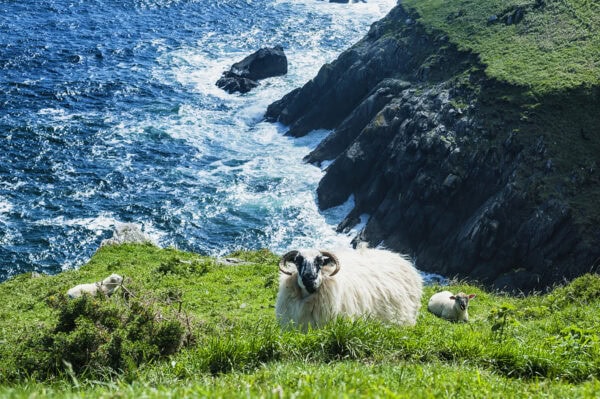 Dingle Peninsula