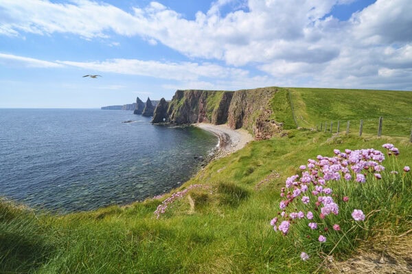 Duncansby Stacks