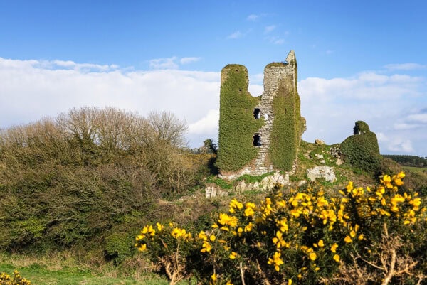 Dunhill Castle