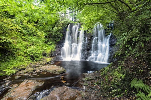 Glenariff Forest Park