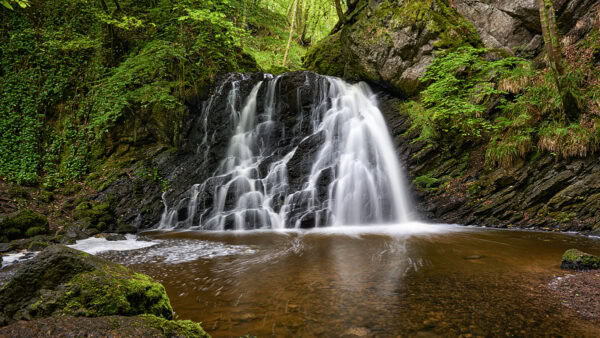 Fairy Glen
