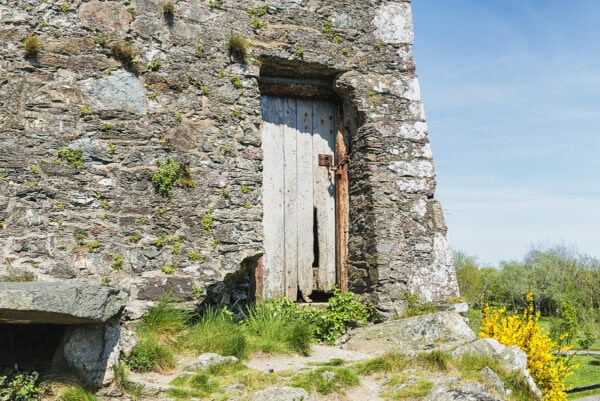 Ferrycarrig Tower House