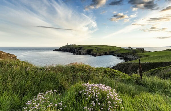 Galley Head