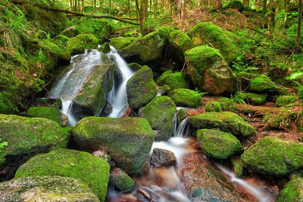 Gertelbach Wasserfälle