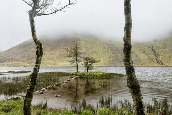 Glanteenassig Forest Park