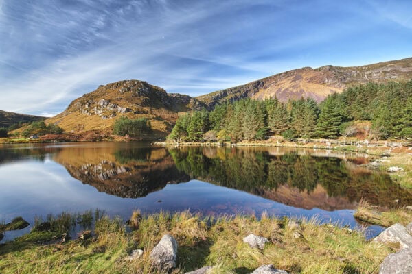 Glanteenassig Forest Park