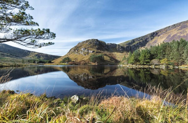 Glanteenassig Forest Park